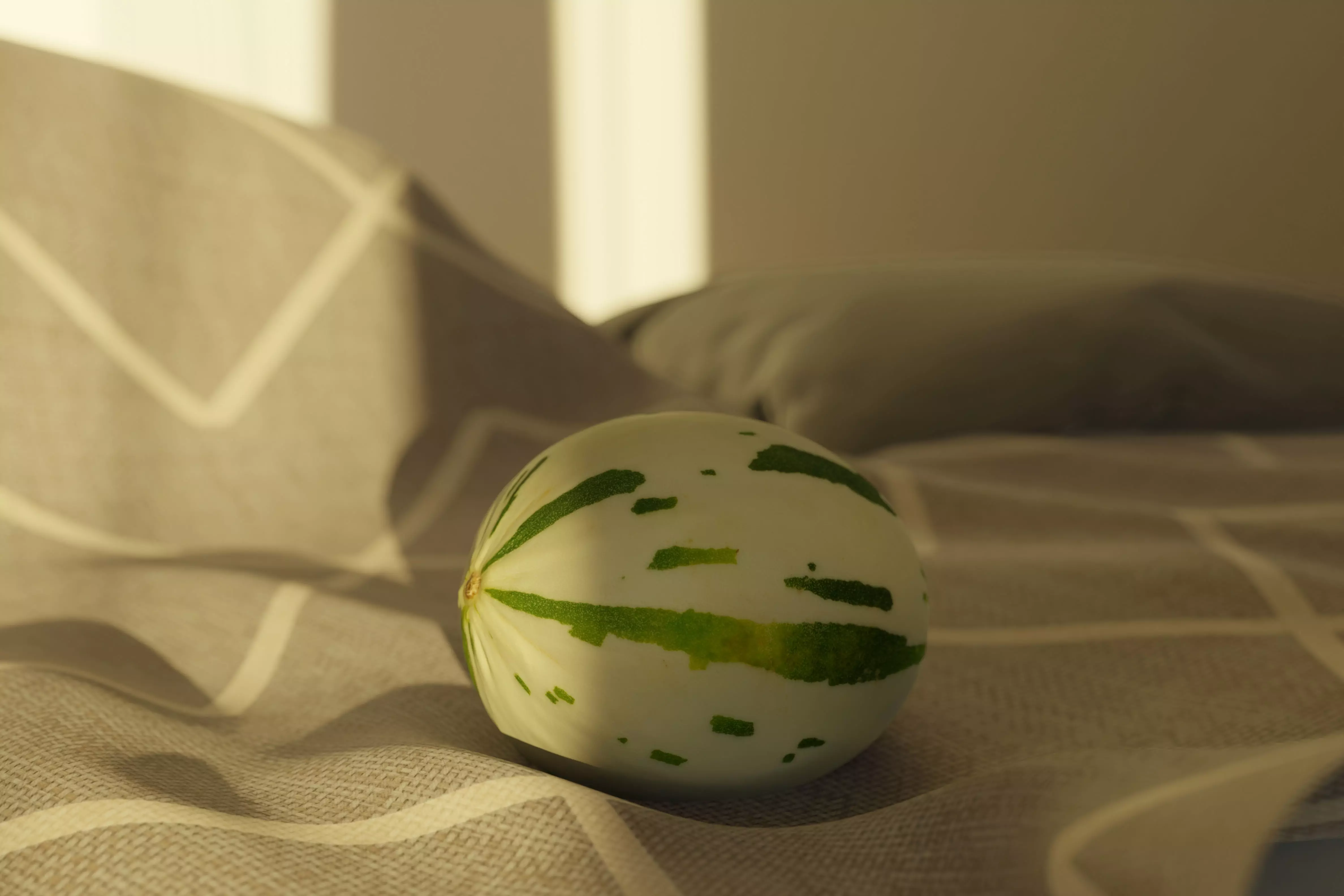 Photorealistic Gaya Melon Low-poly 3D model_0