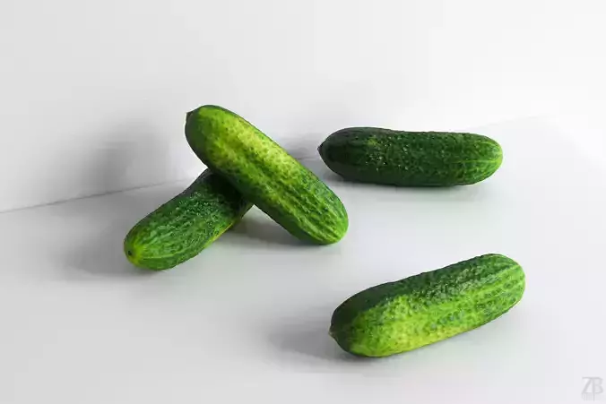 Cucumber 3D model