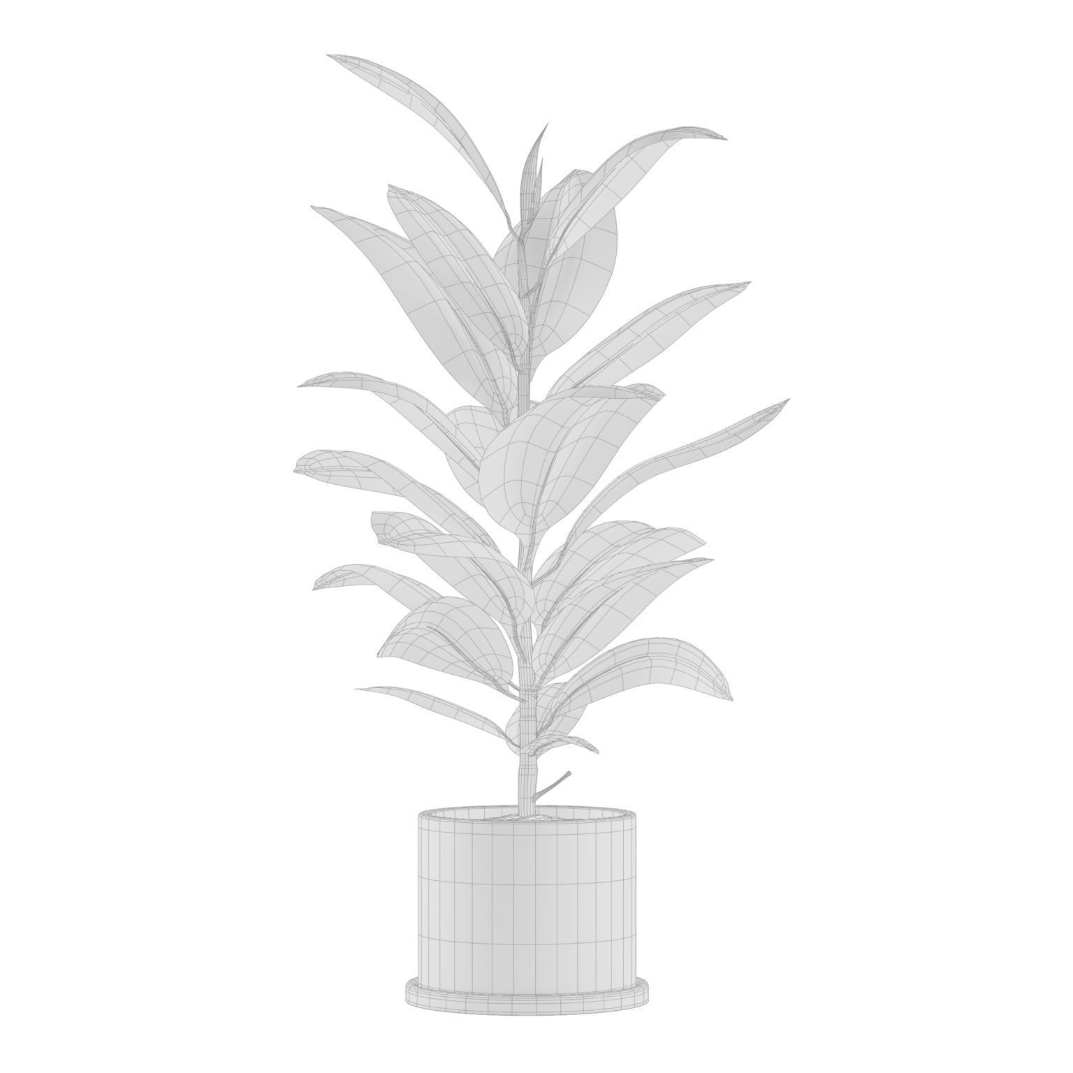Indoor Plants Pack 04 3D model_7