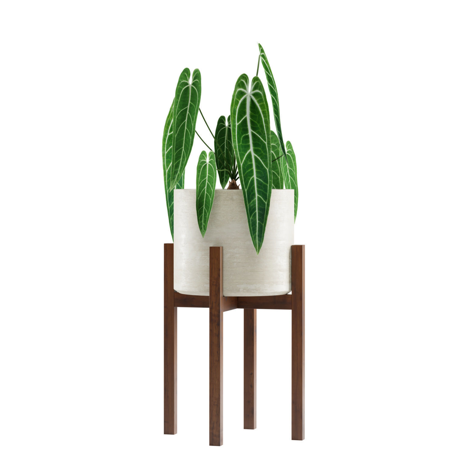 Indoor Plants Pack 04 3D model_2