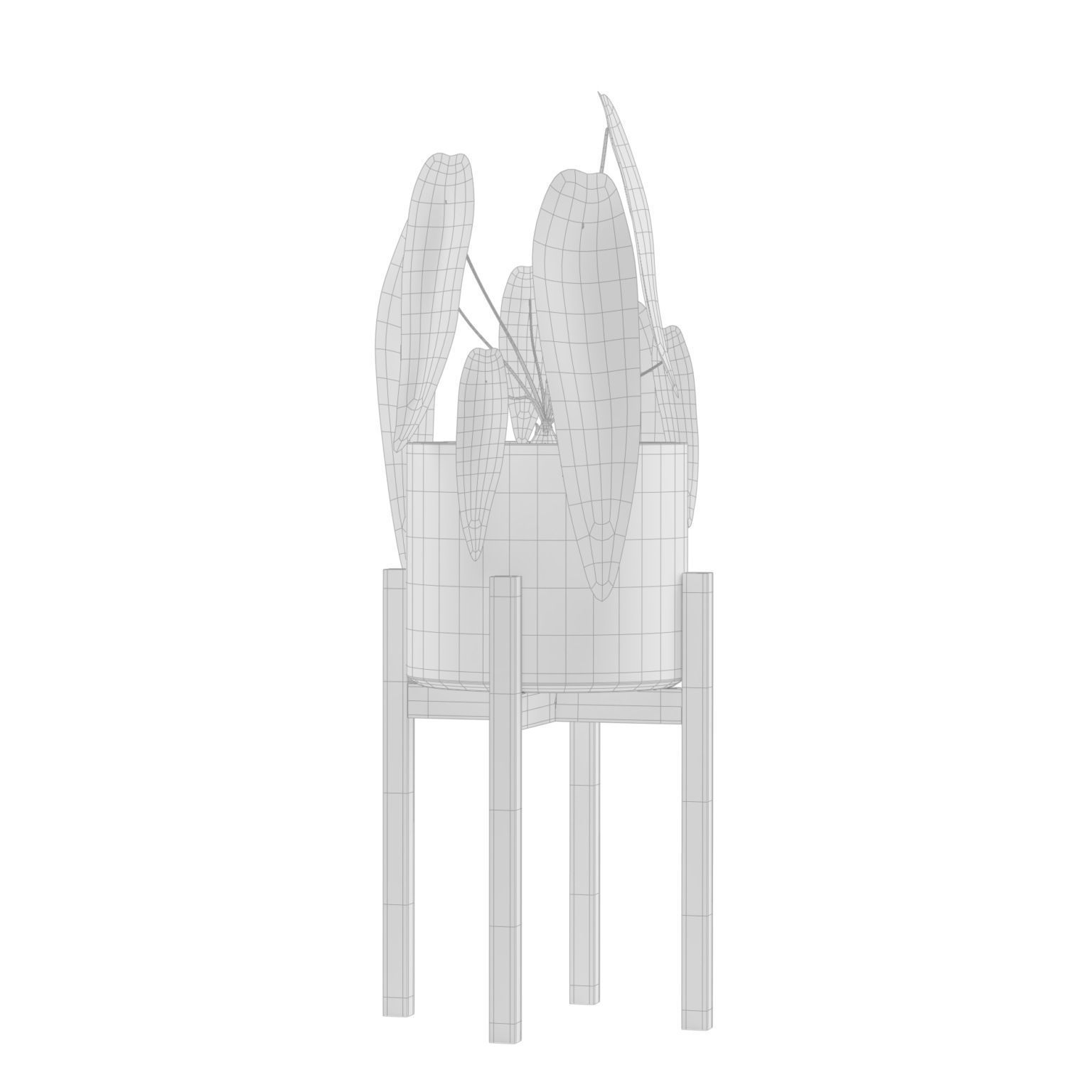 Indoor Plants Pack 04 3D model_3