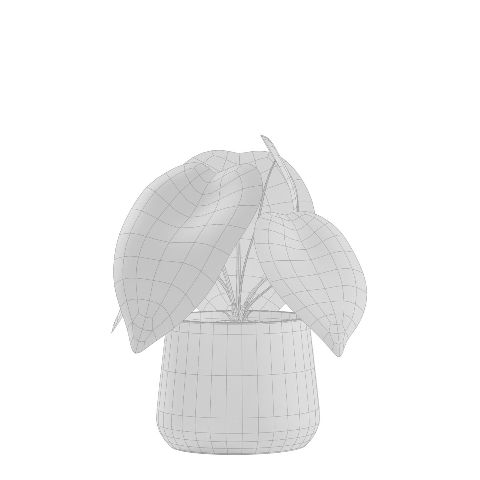 Indoor Plants Pack 04 3D model_5