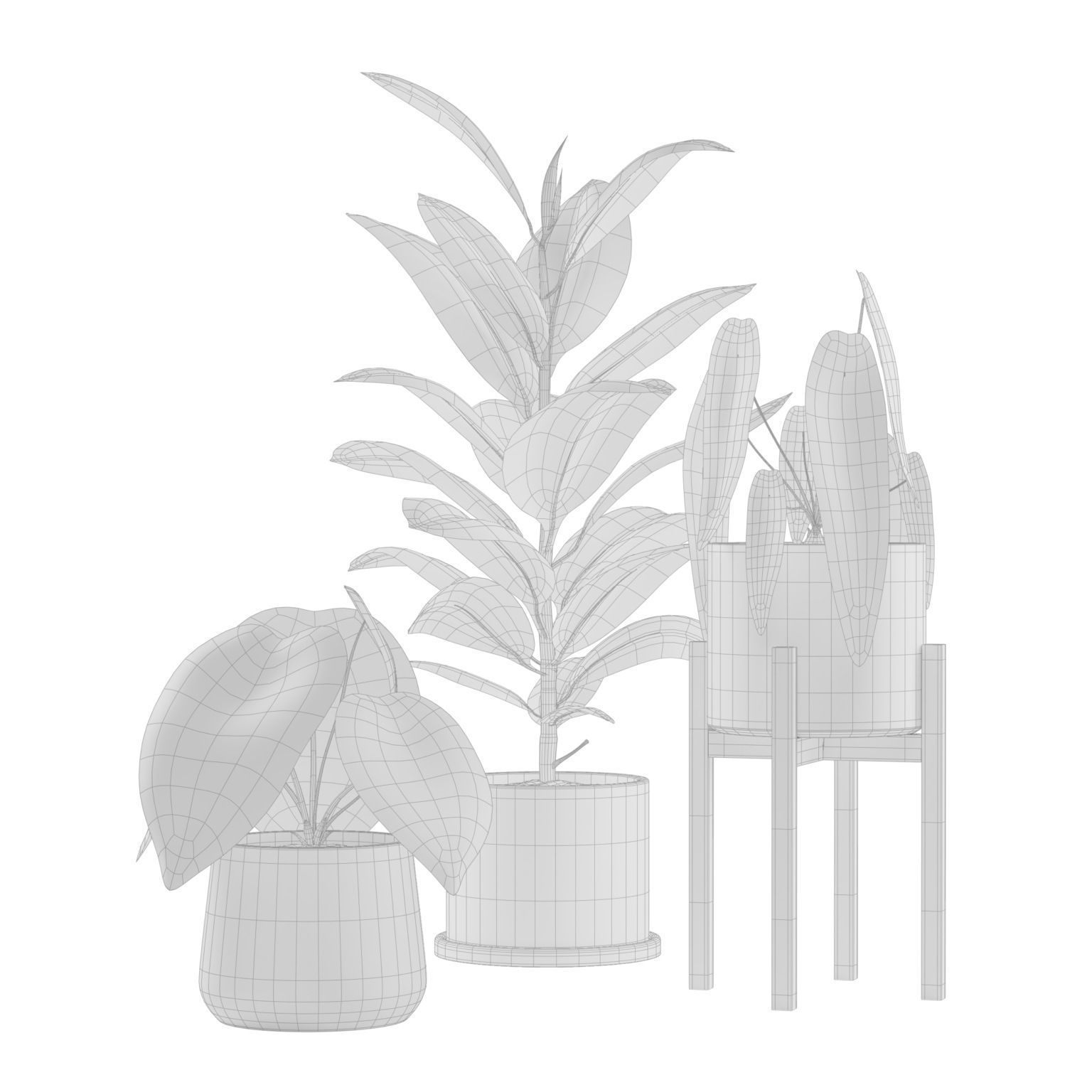 Indoor Plants Pack 04 3D model_1