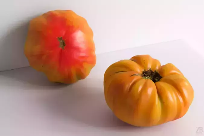 Tomato 3D model Tomato 3D model
