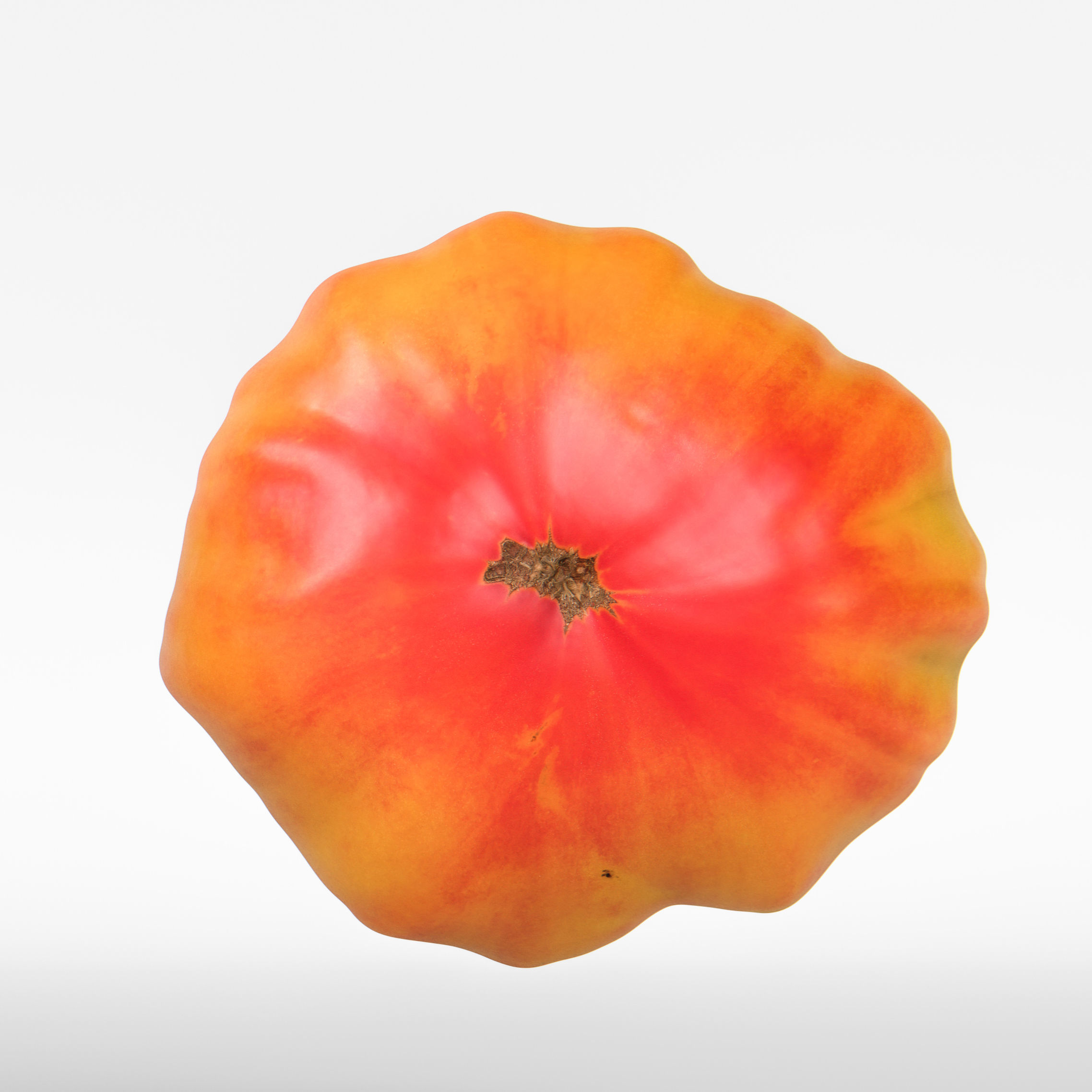 Tomato 3D model_7