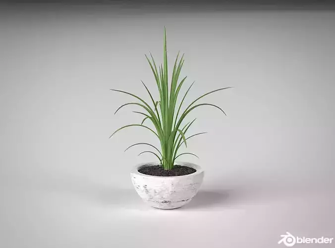 Realistic ornemental concrete vase pot potted leaf flower  3D model