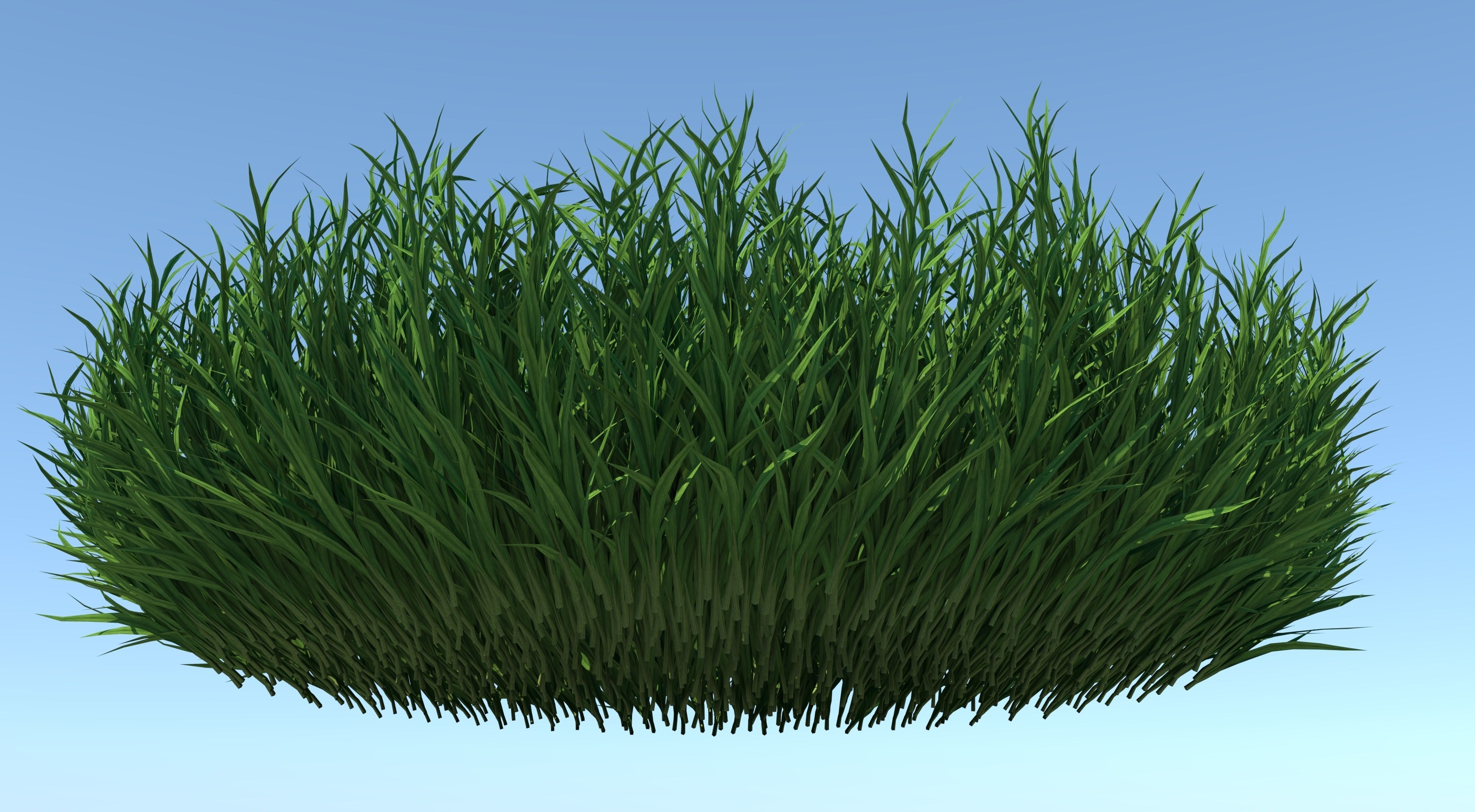 Fine Fescues 3D model_3