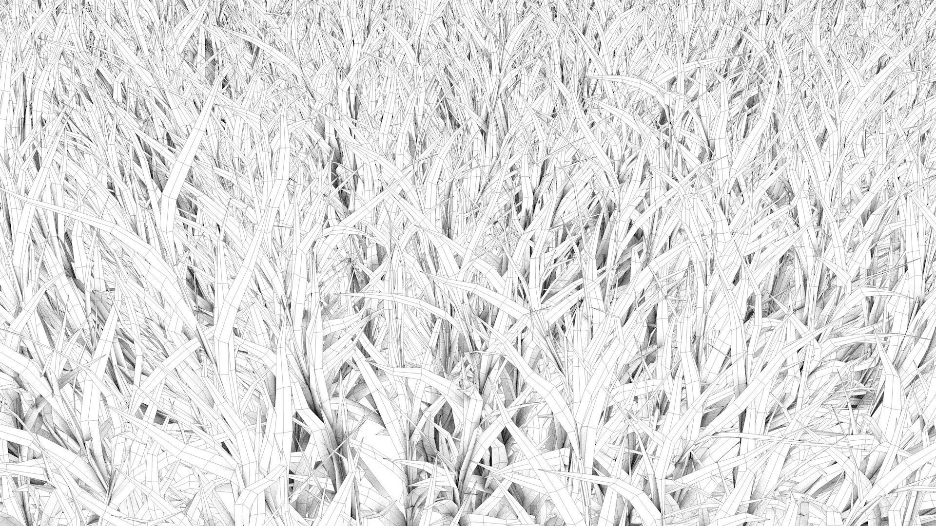 Fine Fescues 3D model_12