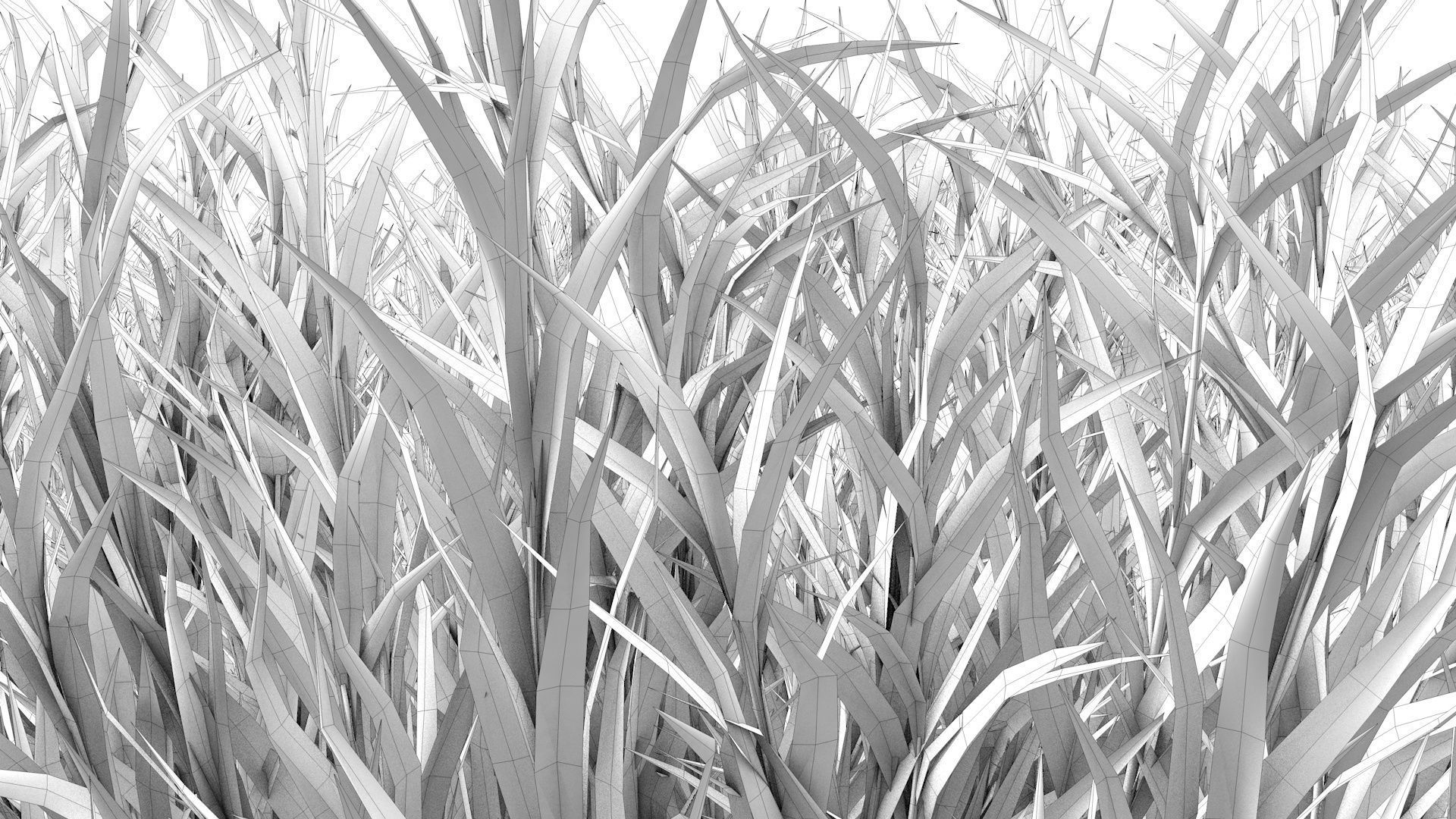 Fine Fescues 3D model_11