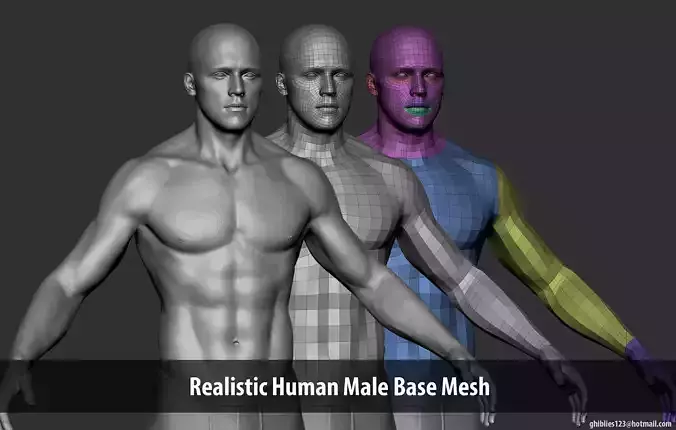Realistic Human Male Basemesh  Low-poly 3D model