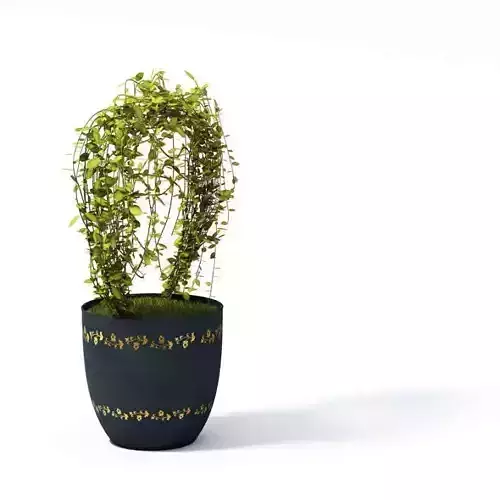 Vined Houseplant In Blue Pot