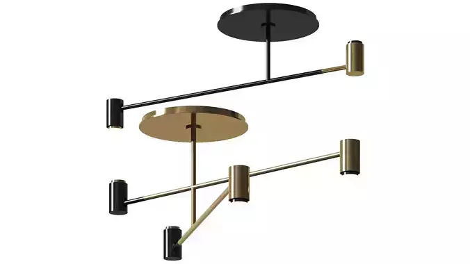 Contardi MELANOCETUS