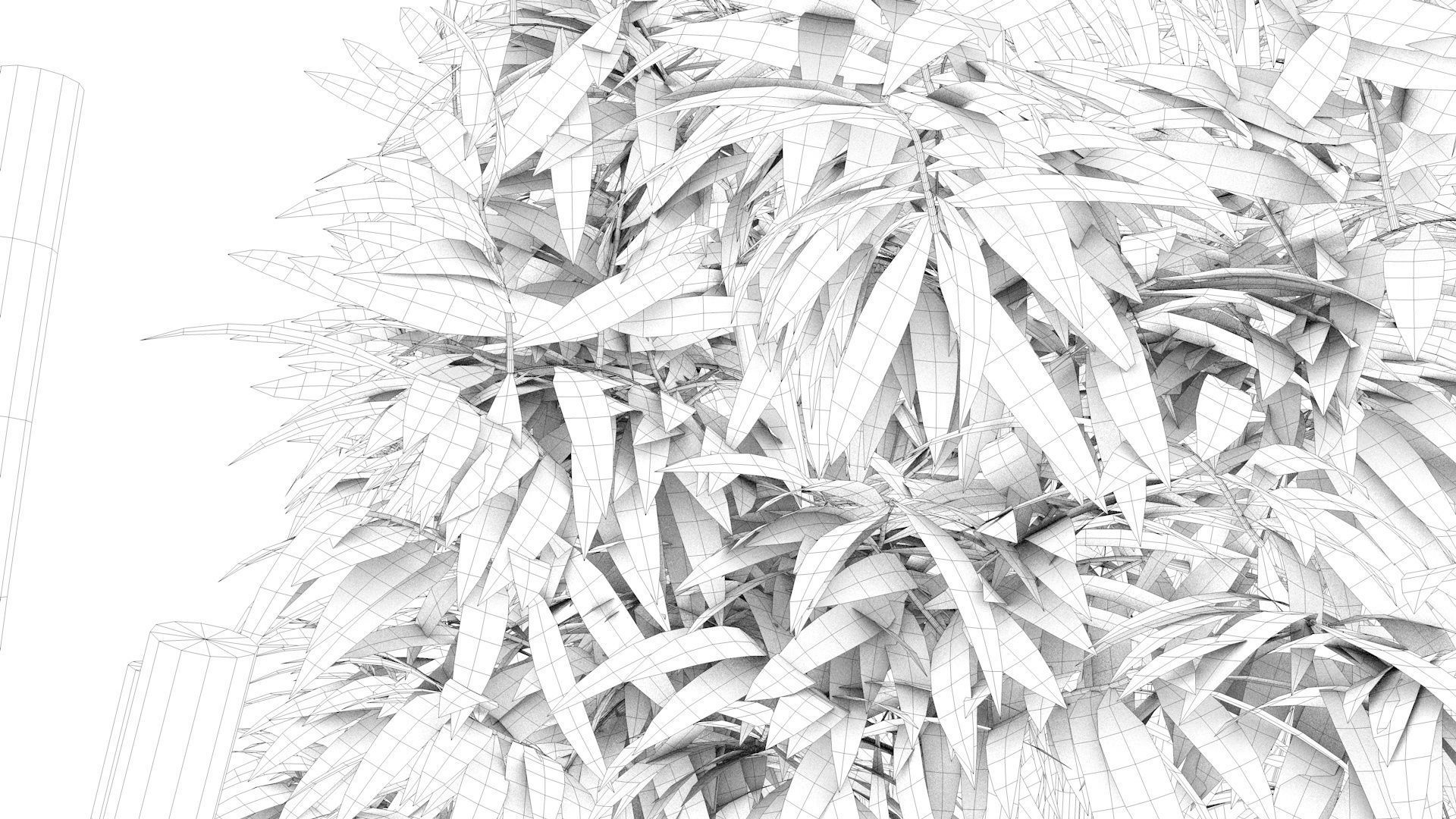 Bamboo plant with two shadows 3D model_14