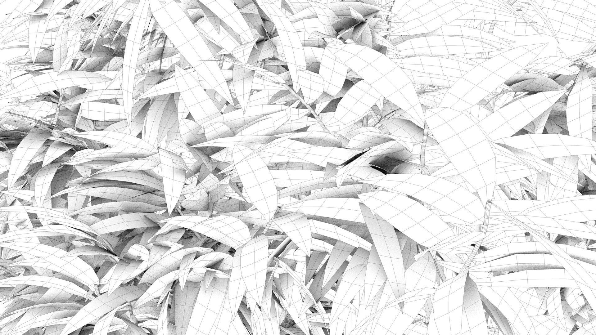 Bamboo plant with two shadows 3D model_13