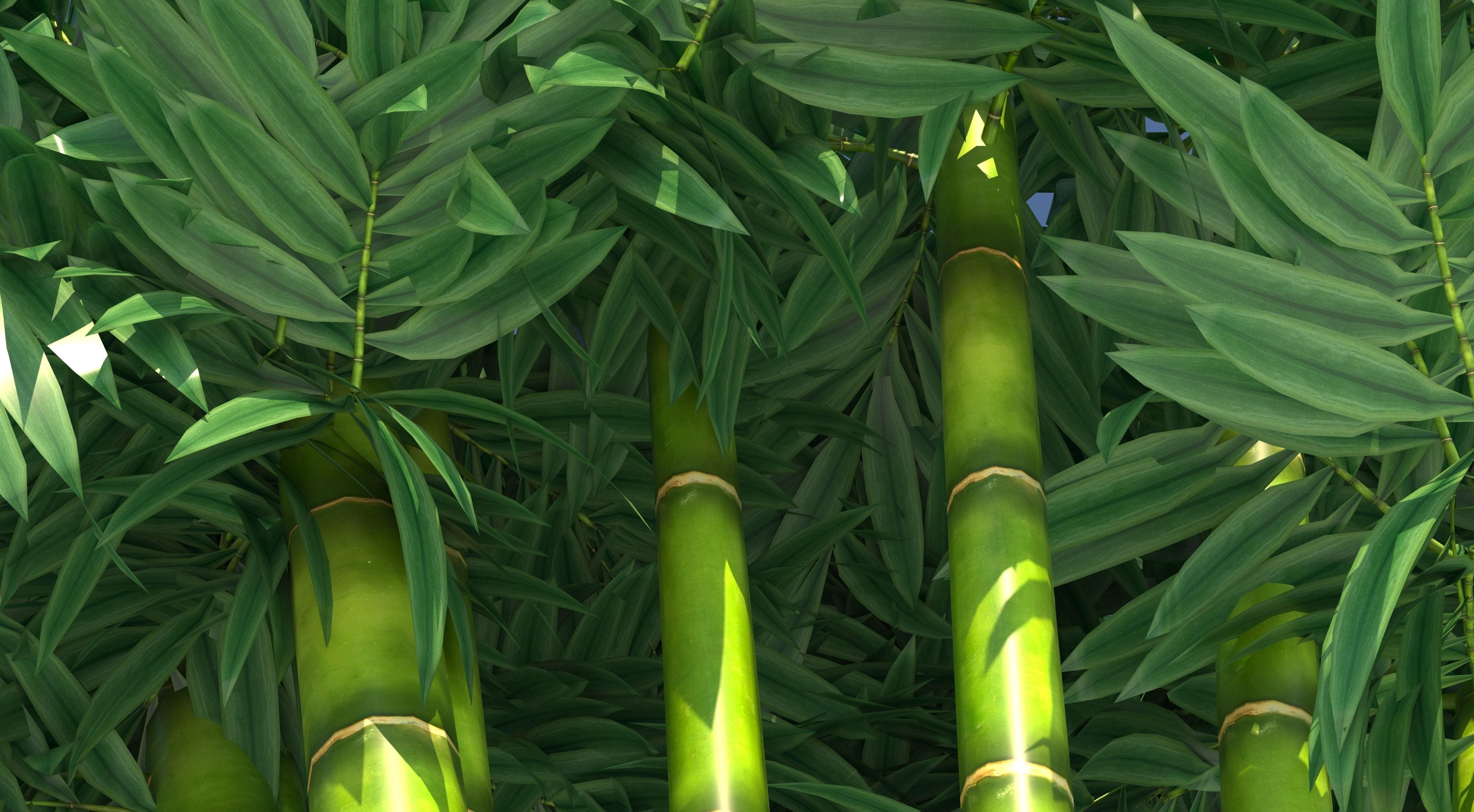 Bamboo plant with two shadows 3D model_8