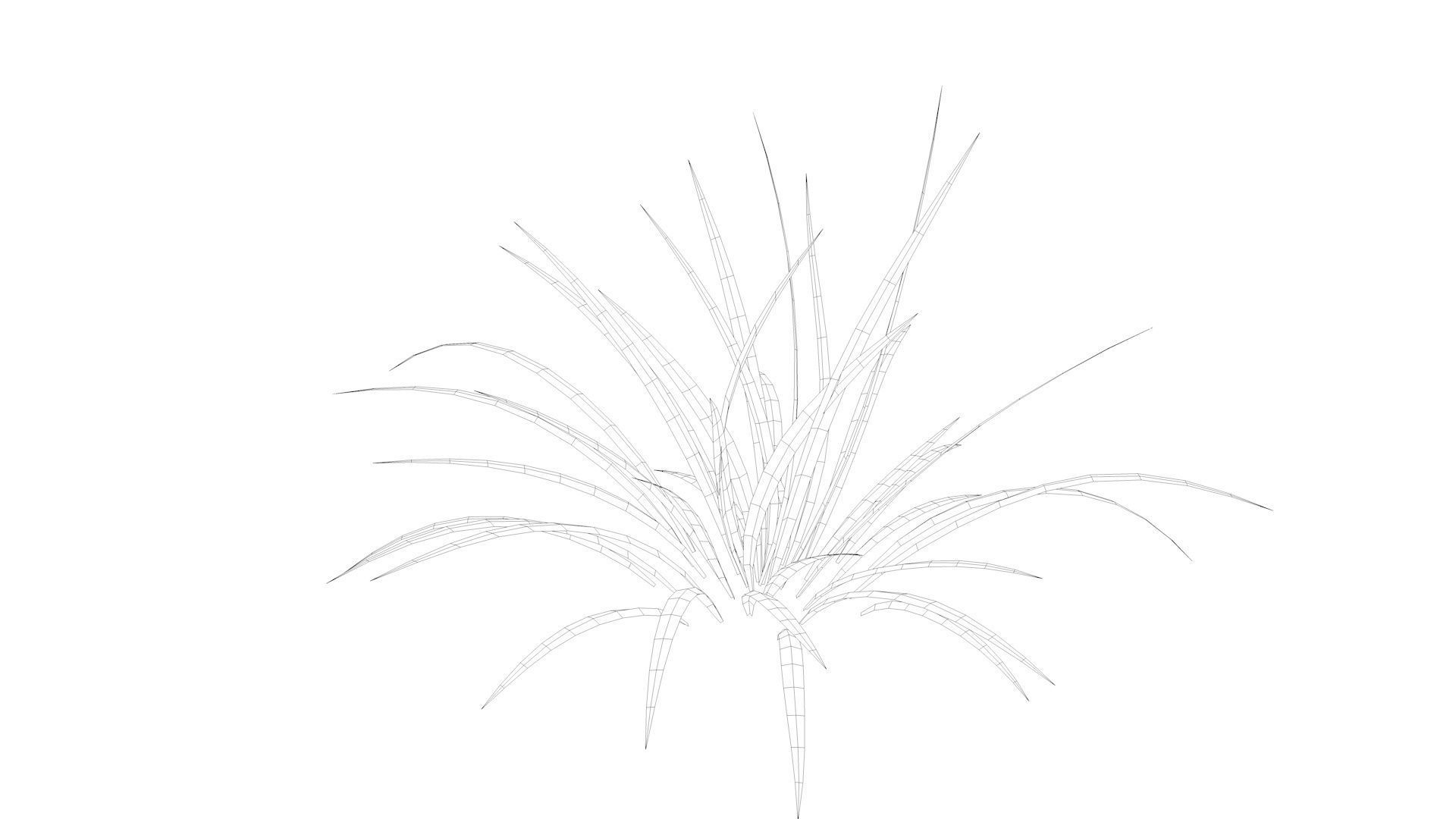 Grass plant Low-poly 3D model_7