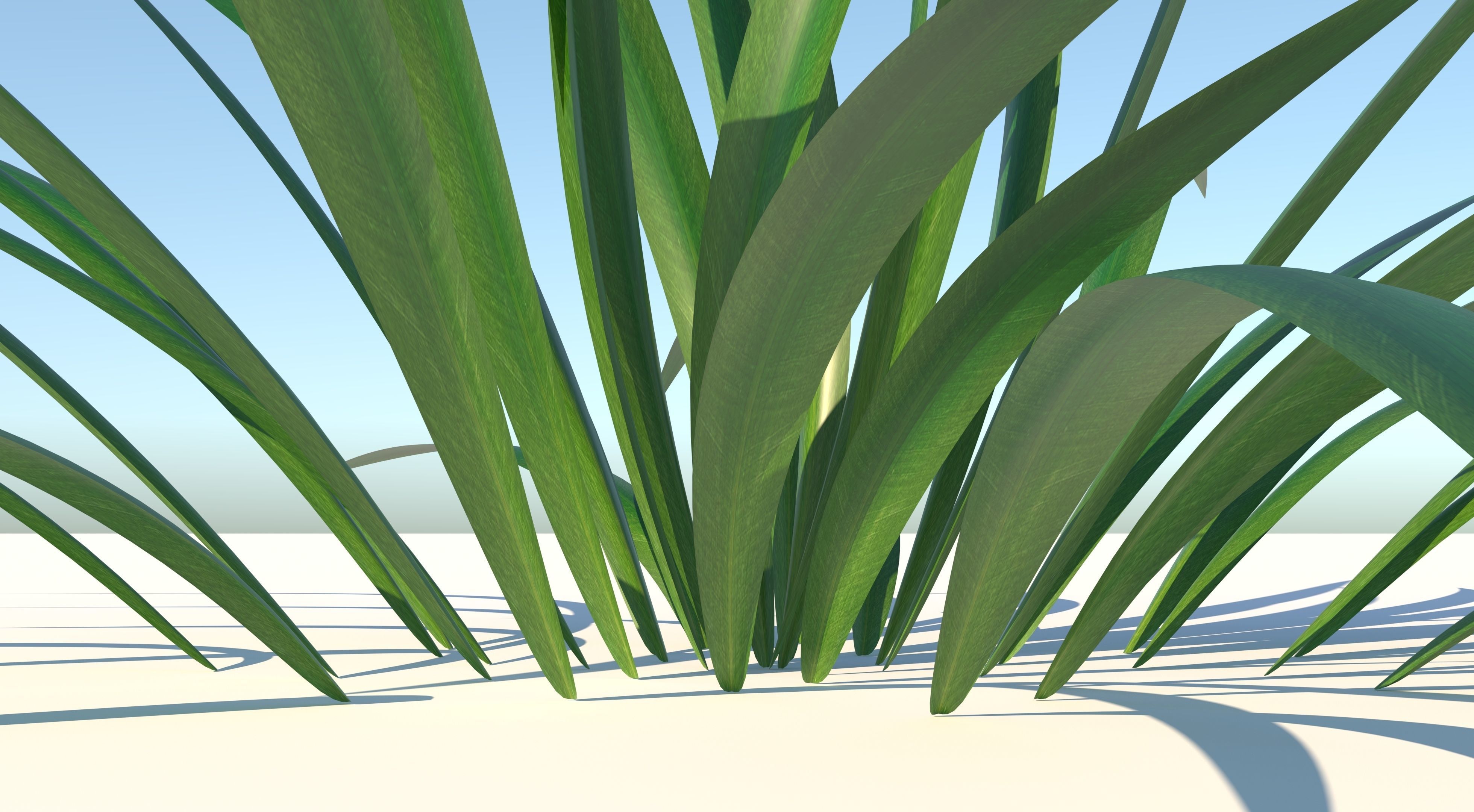 Grass plant Low-poly 3D model_6