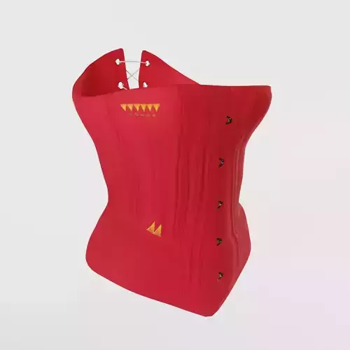 1890s Corset - 2 Versions