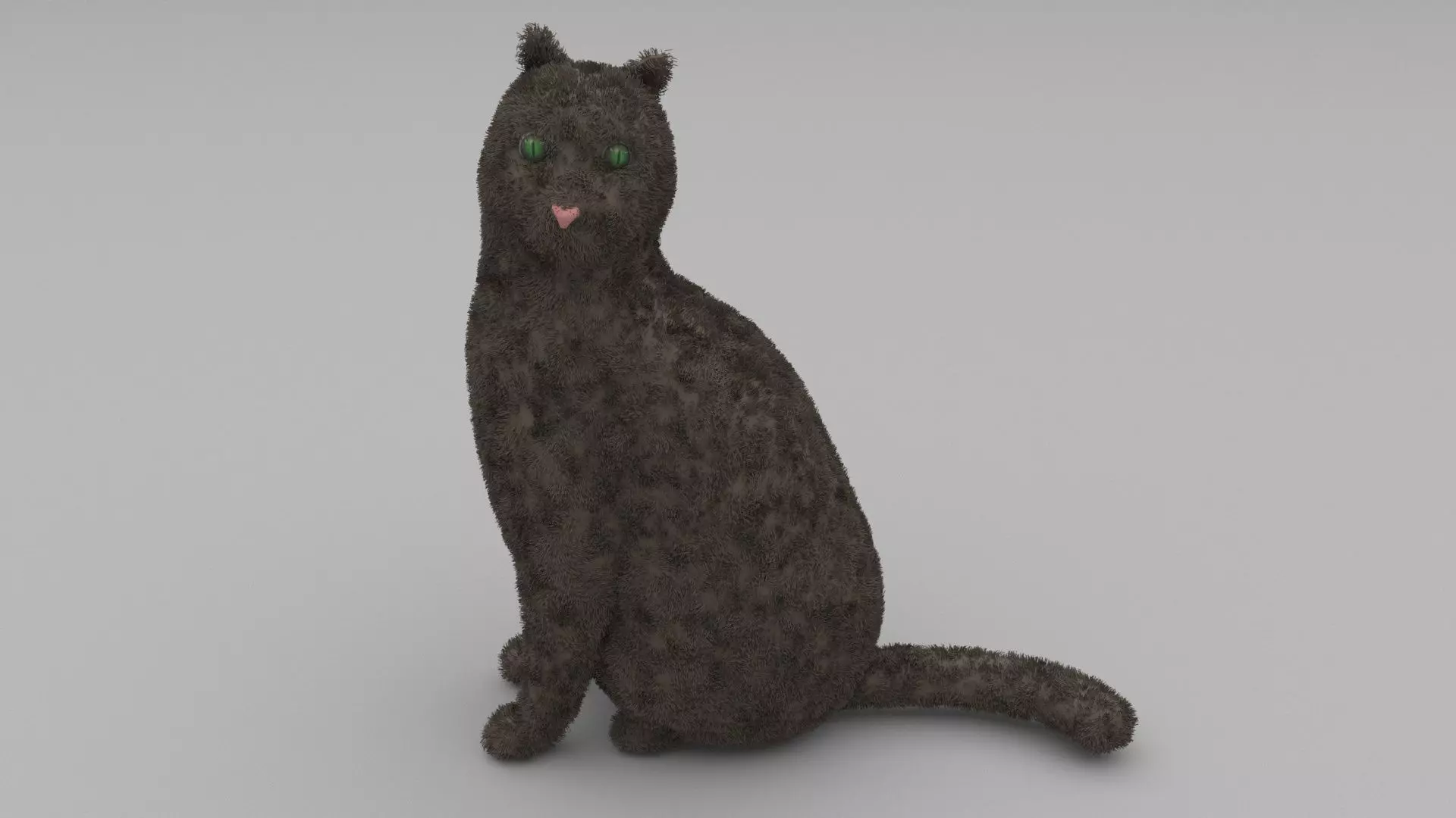Cat Model with eyes 3D model_0
