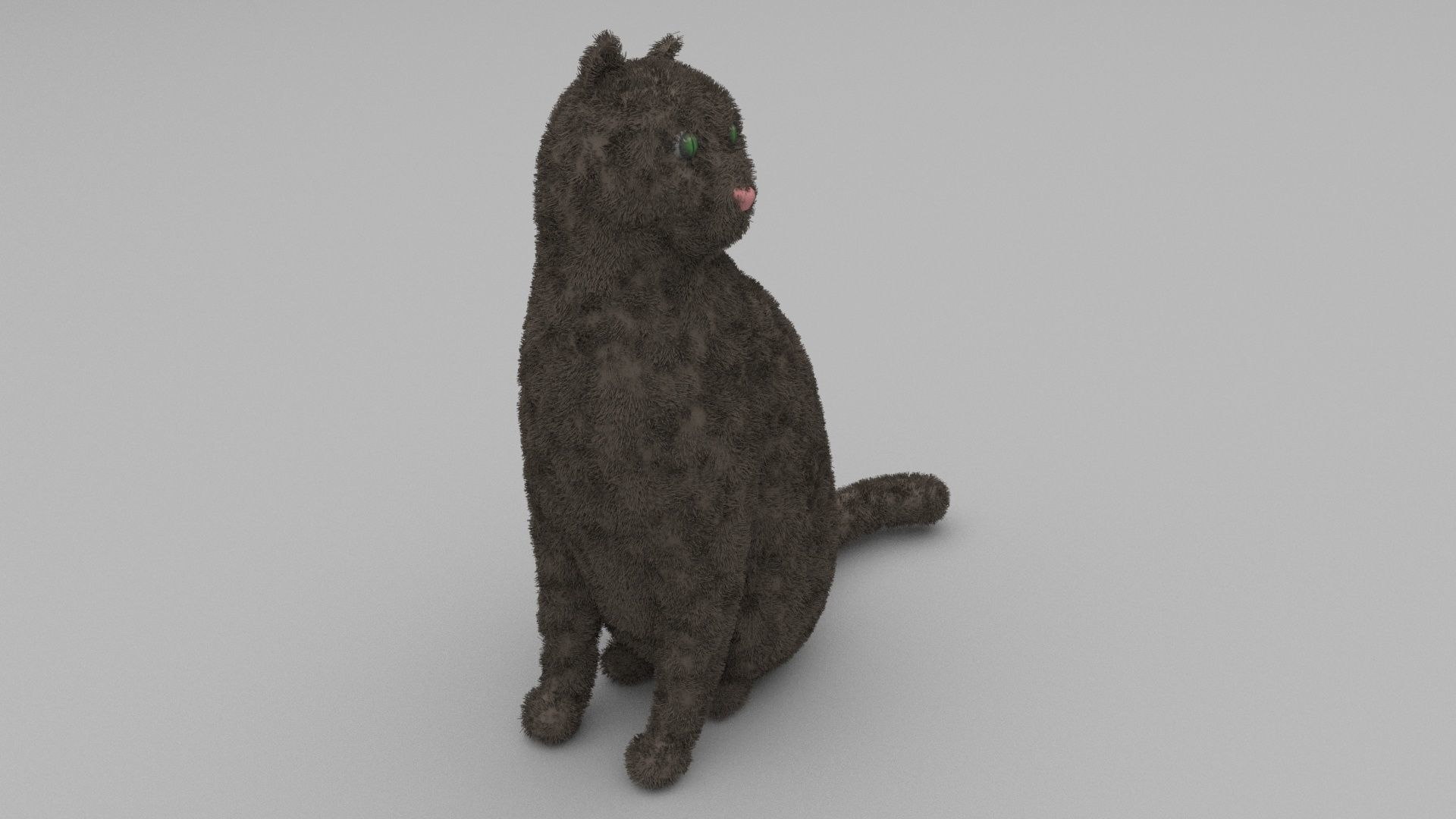 Cat Model with eyes 3D model_1