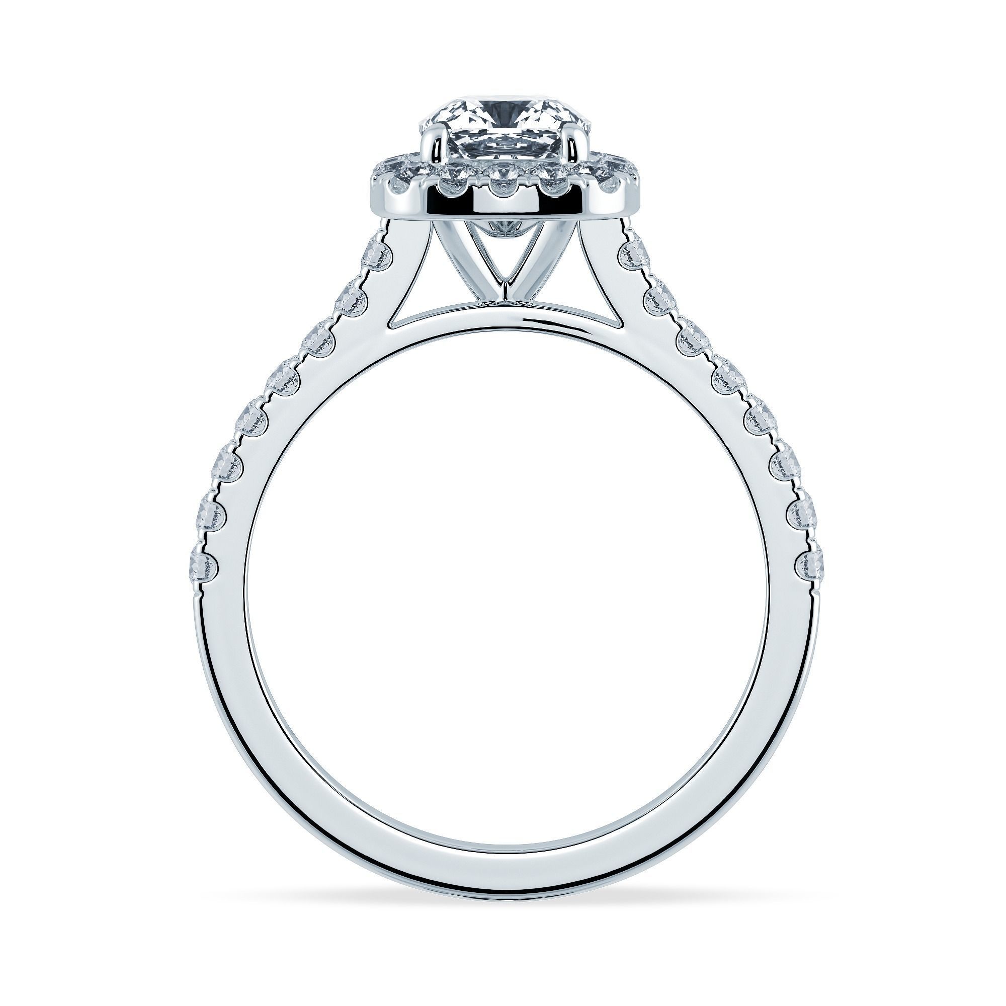 Jewelry CAD Printable file with Videos and Photos Render view 3D print model_4