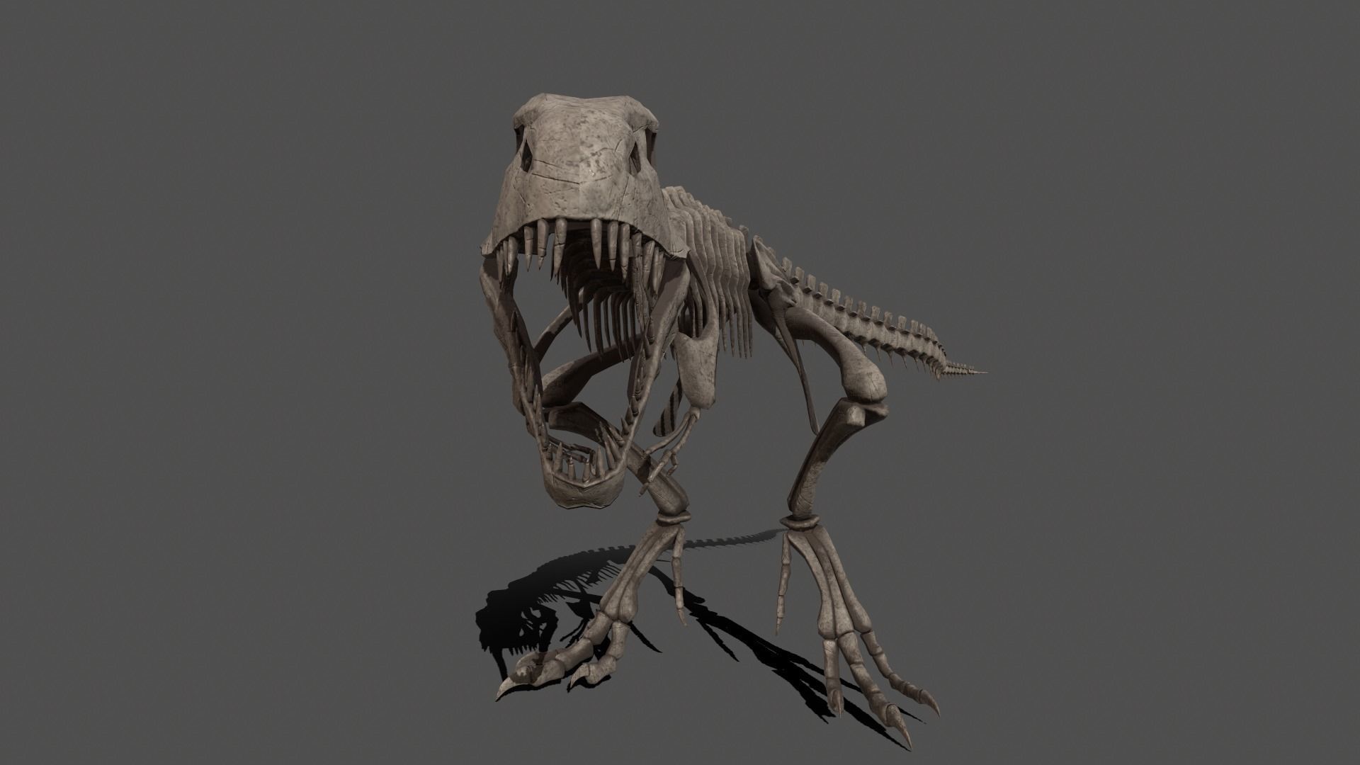 Tyrannosaurus Skeleton 3D model_6