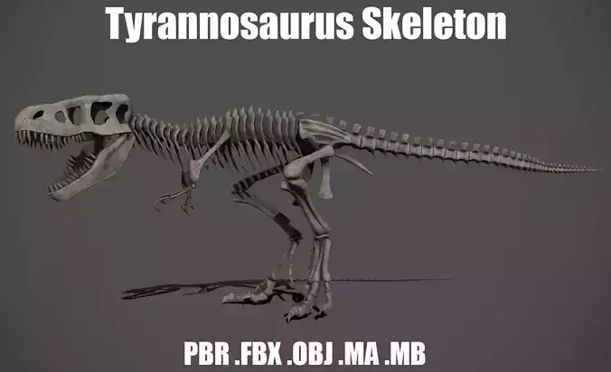 Tyrannosaurus Skeleton