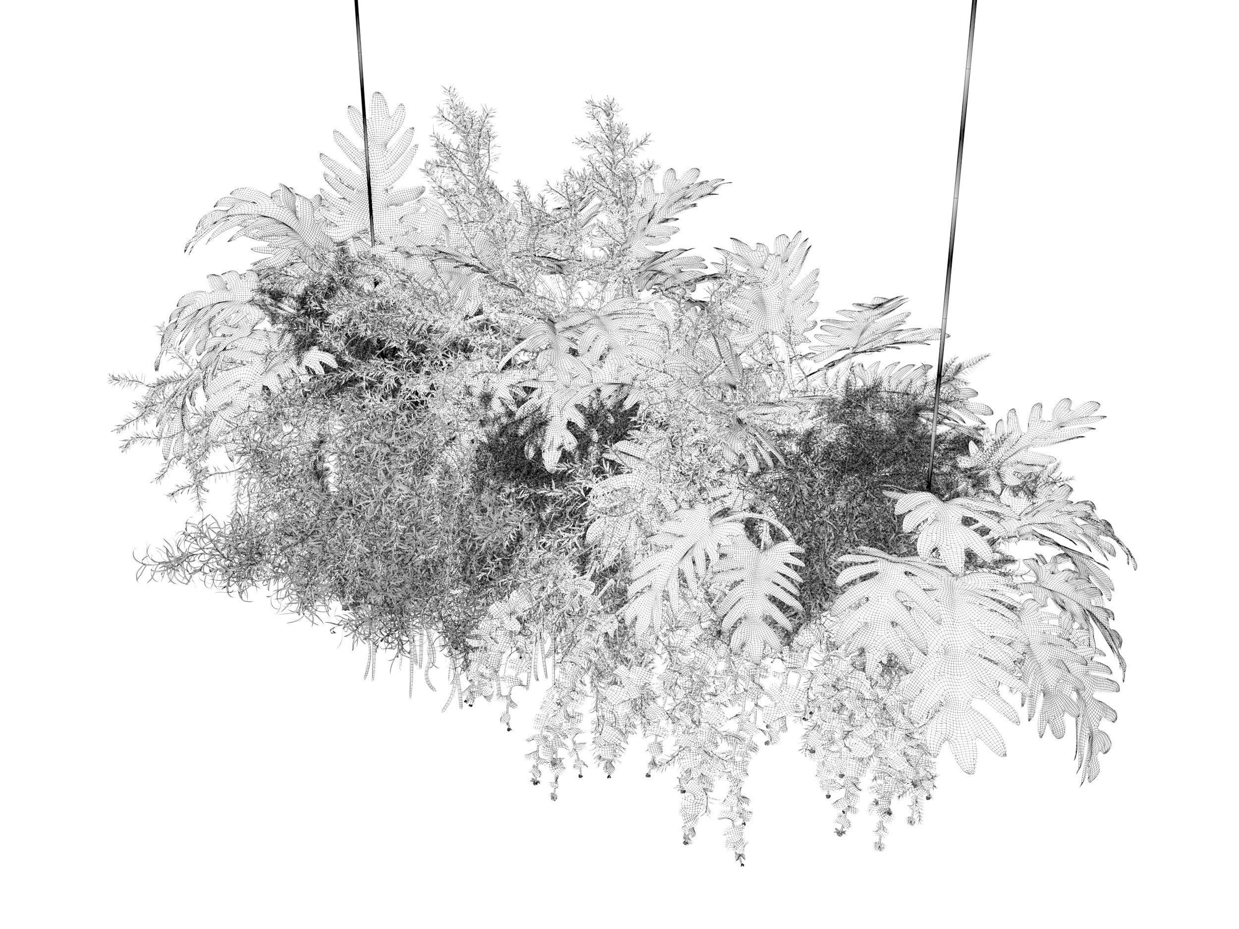Hanging Plants 02 3D model_4