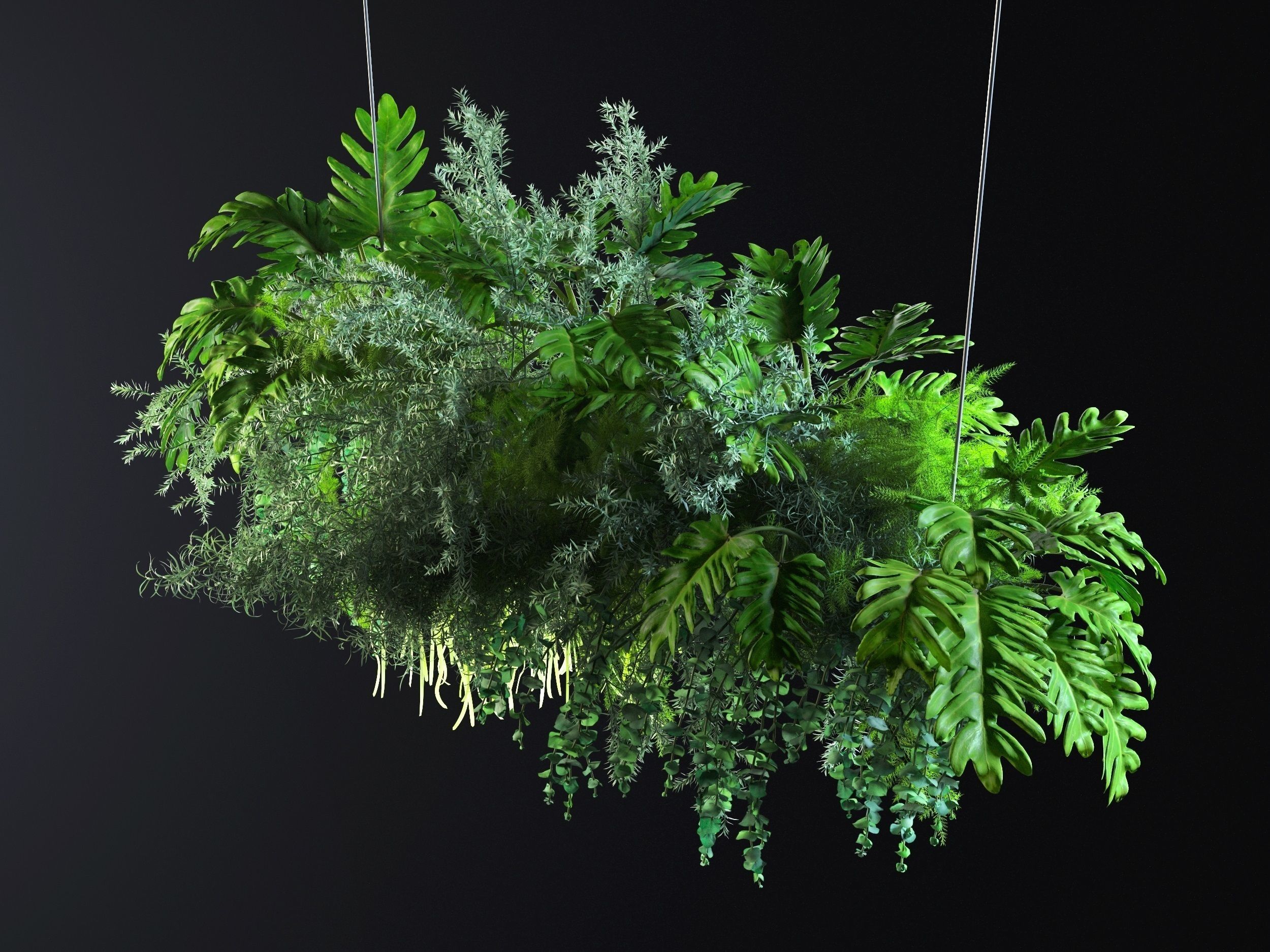 Hanging Plants 02 3D model_1