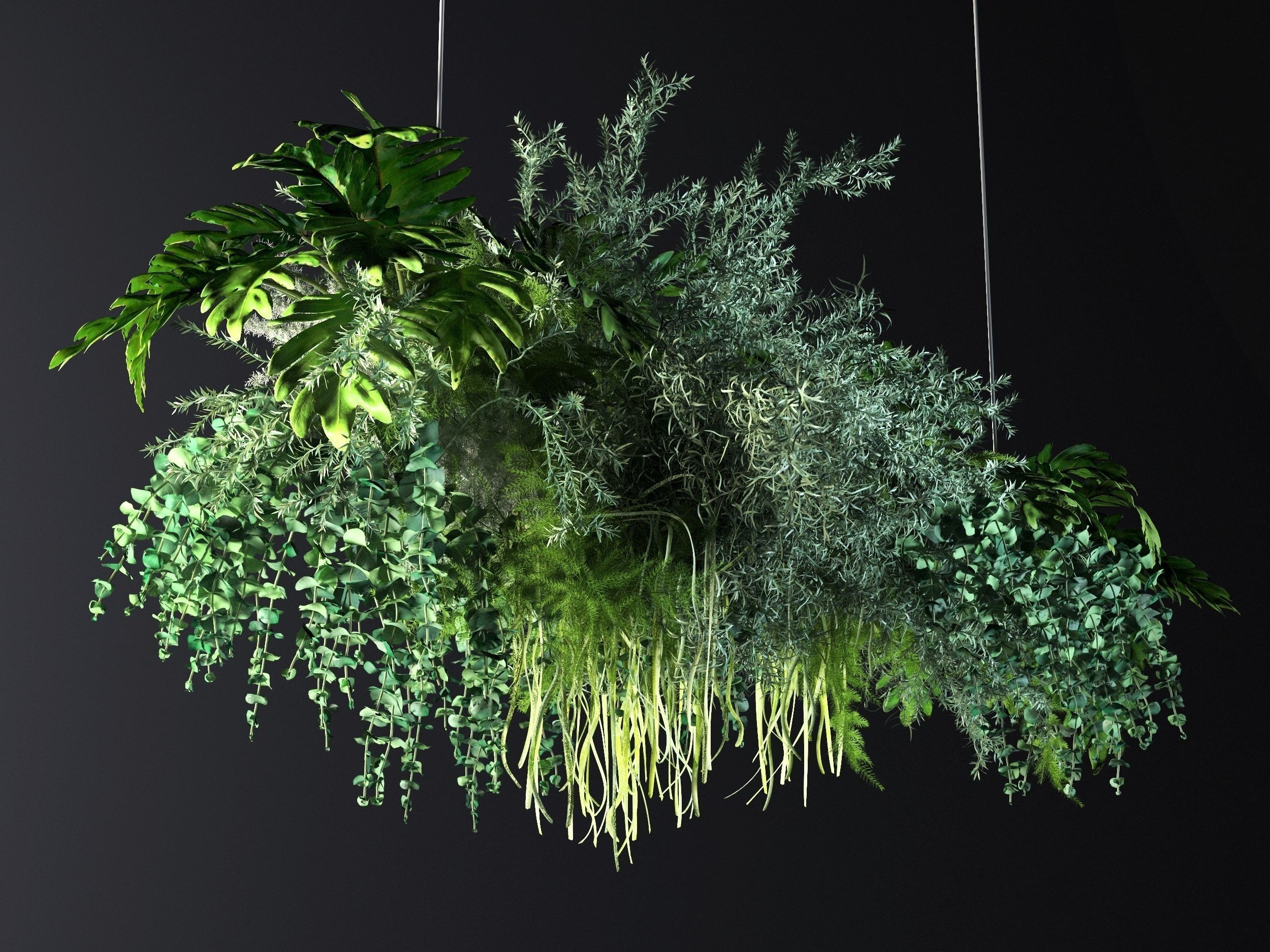 Hanging Plants 02 3D model_2
