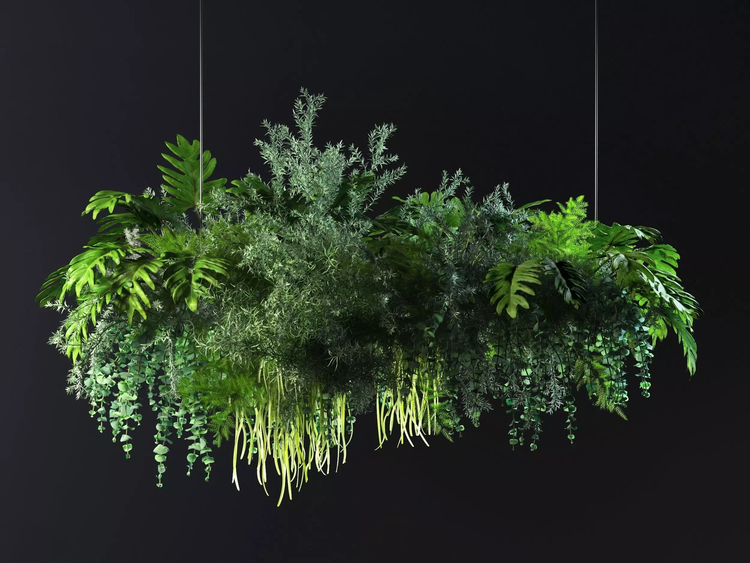 Hanging Plants 02 3D model_0