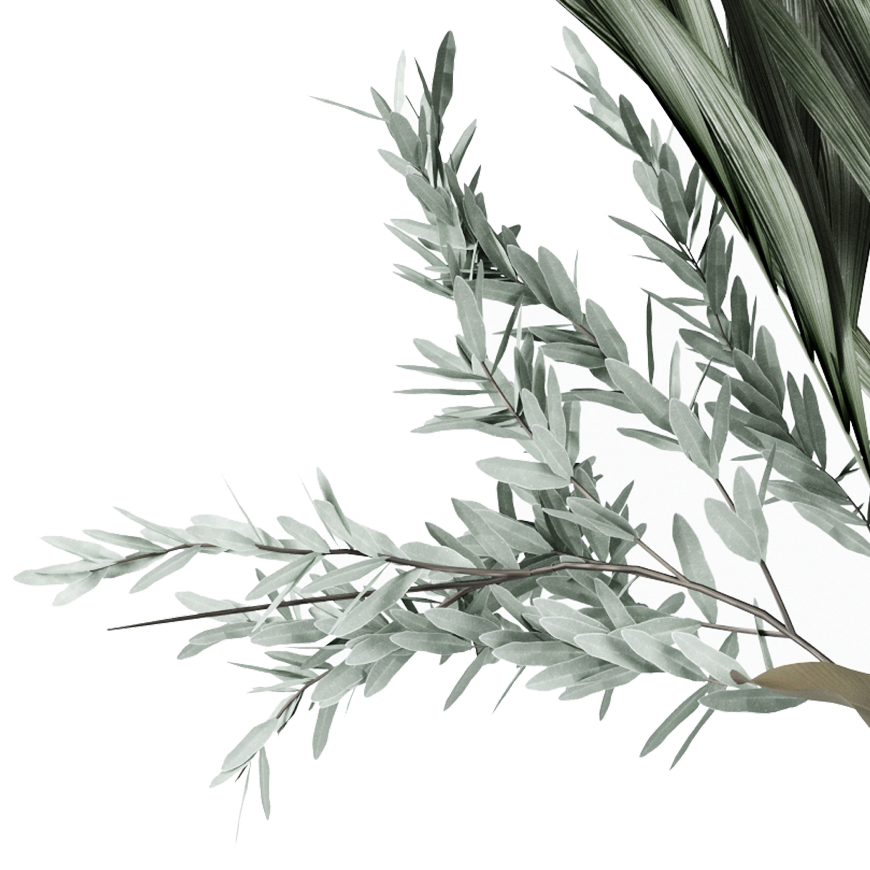 Flower Pack 210C 3D model_4