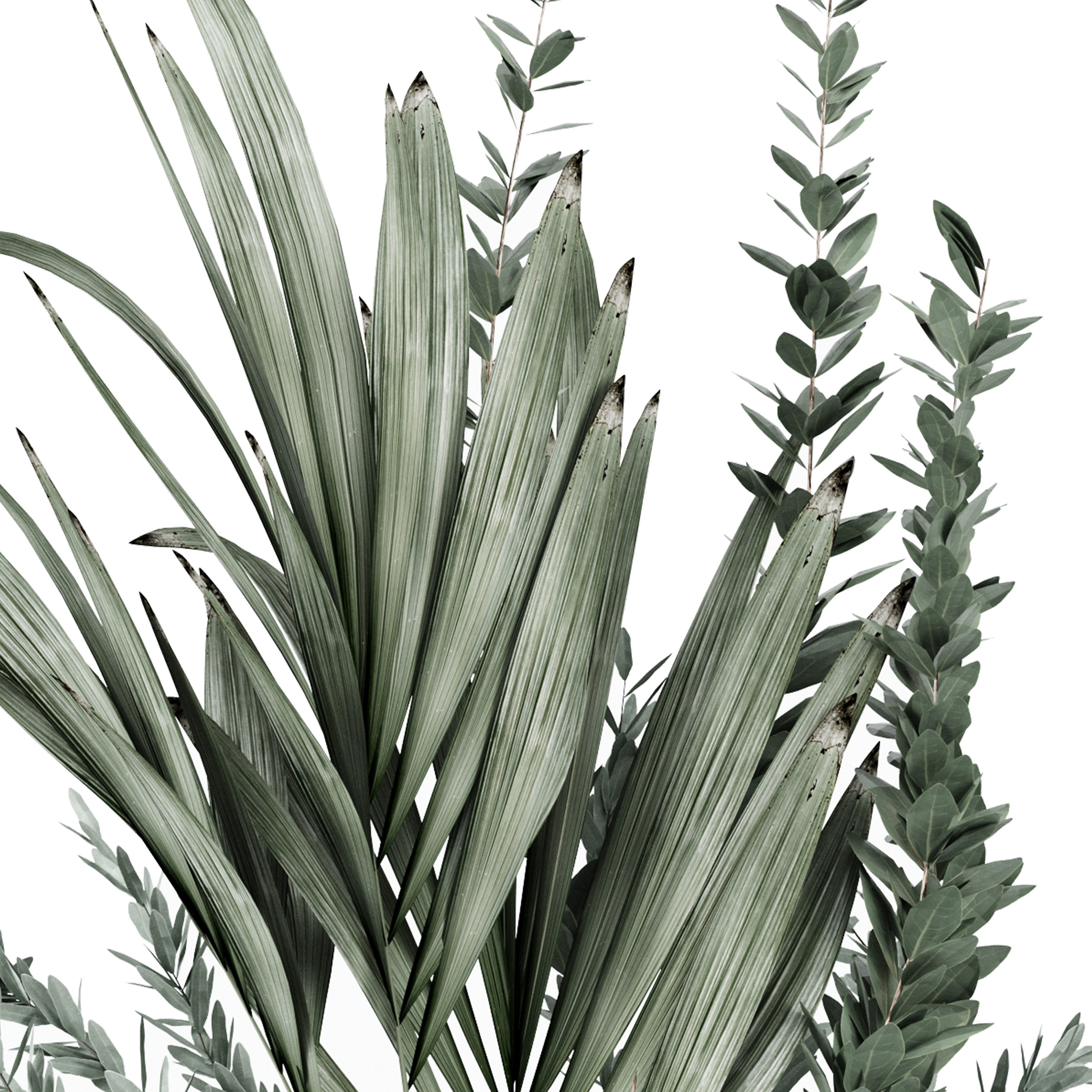 Flower Pack 210C 3D model_3