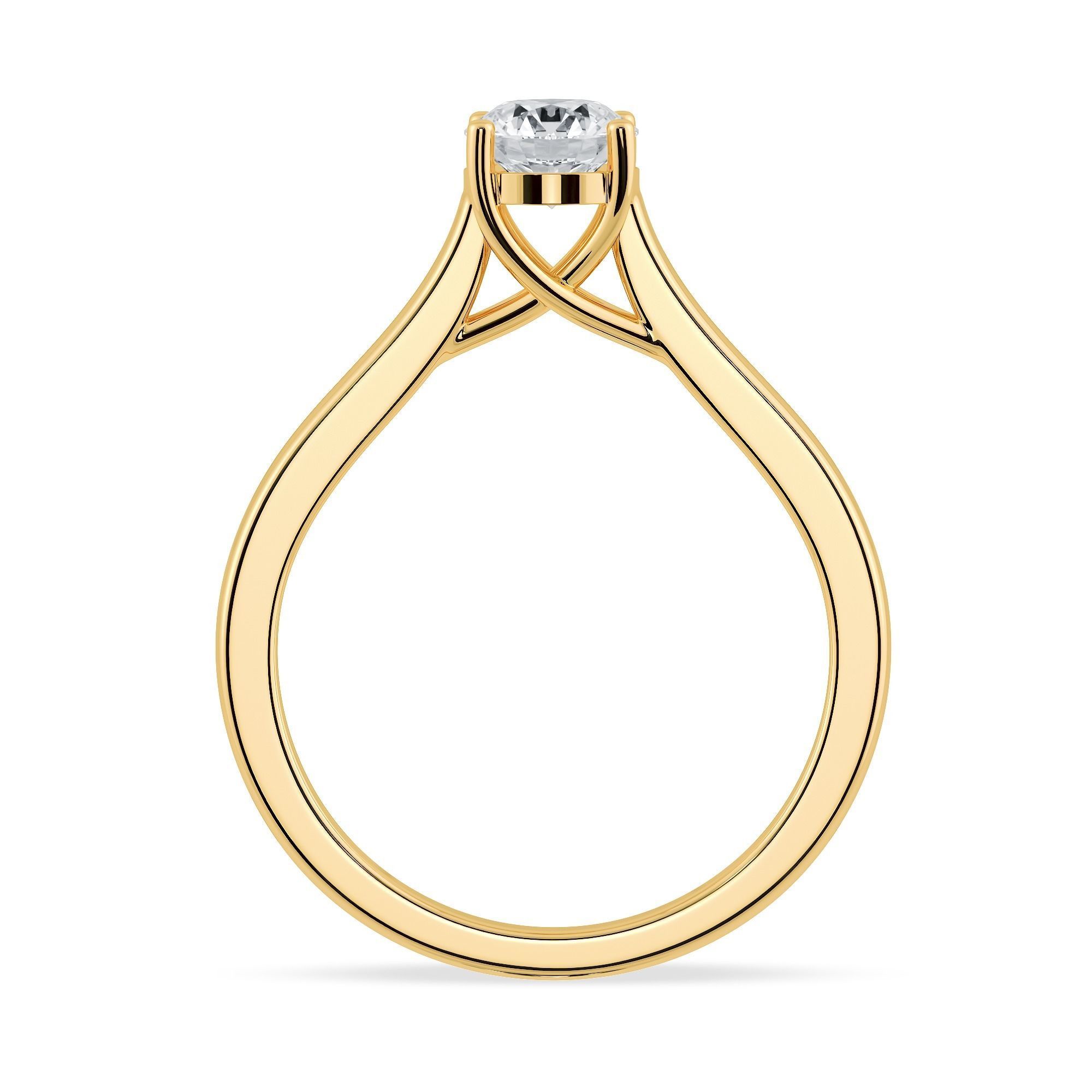 Jewelry CAD Printable file with Videos and Photos Render view 3D print model_4