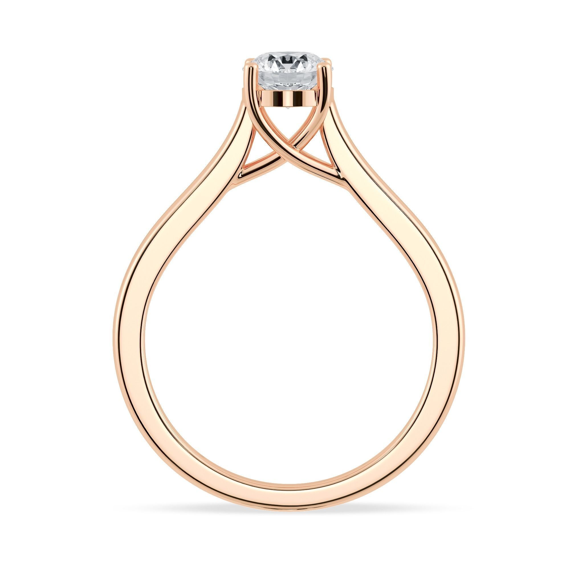 Jewelry CAD Printable file with Videos and Photos Render view 3D print model_7