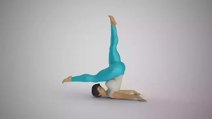 Flexibility at Midday 3D print model