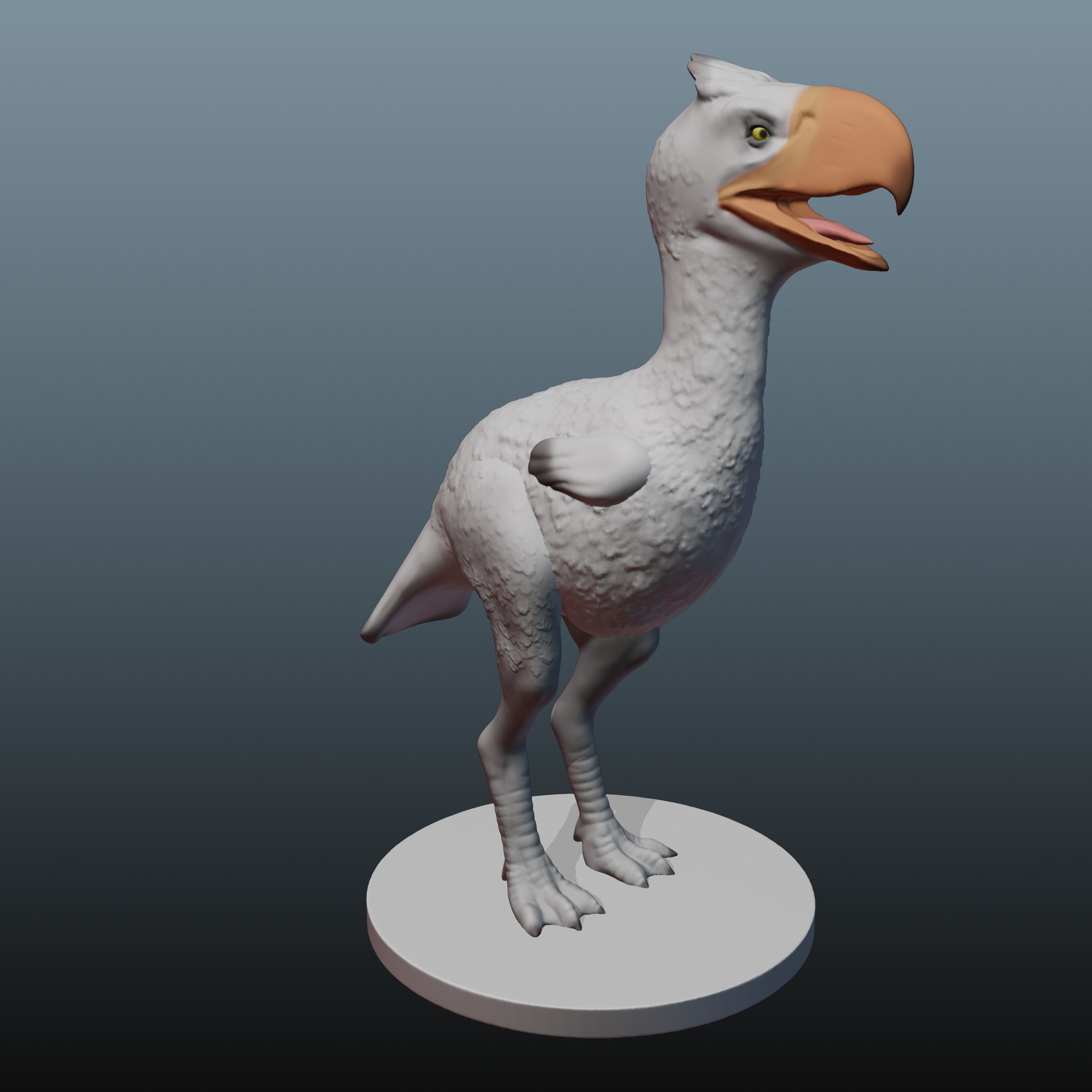 Terror Bird Maroc 3D print model_5