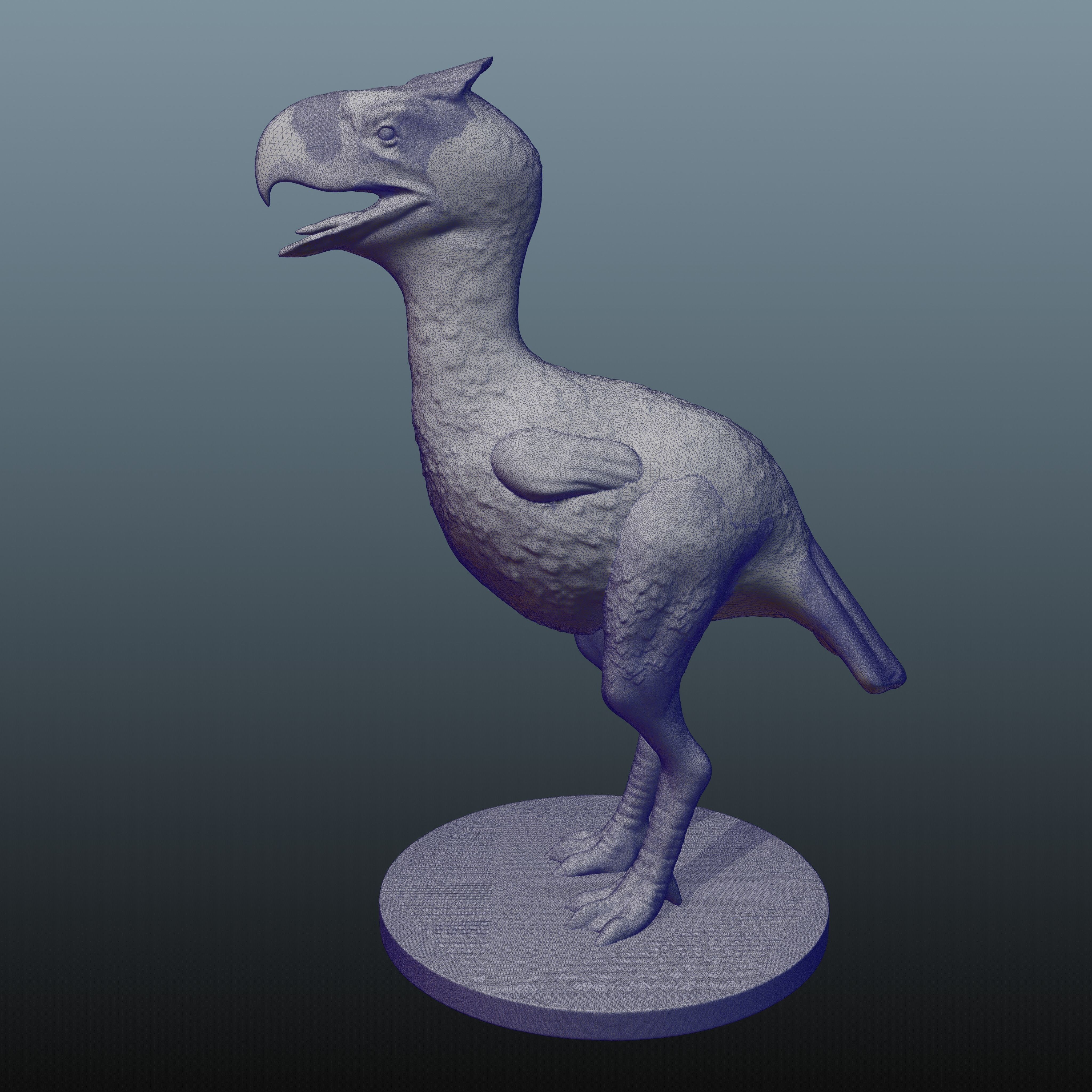 Terror Bird Maroc 3D print model_6