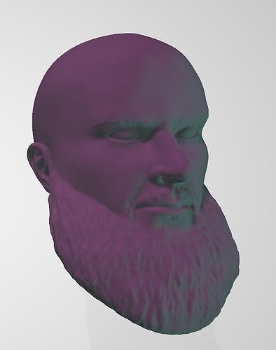 Braun Strowman Bald Look WWE Custom Head Sculpt 3D print model 3D print model