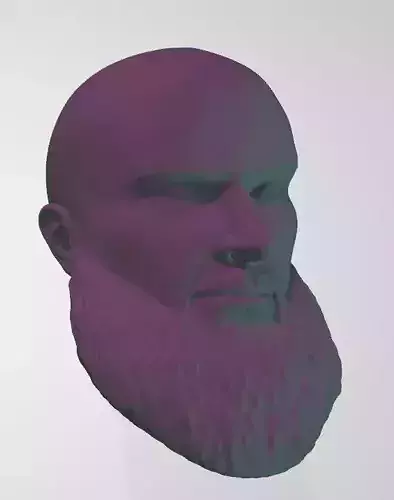 Braun Strowman Bald Look WWE Custom Head Sculpt 3D print model 3D print model
