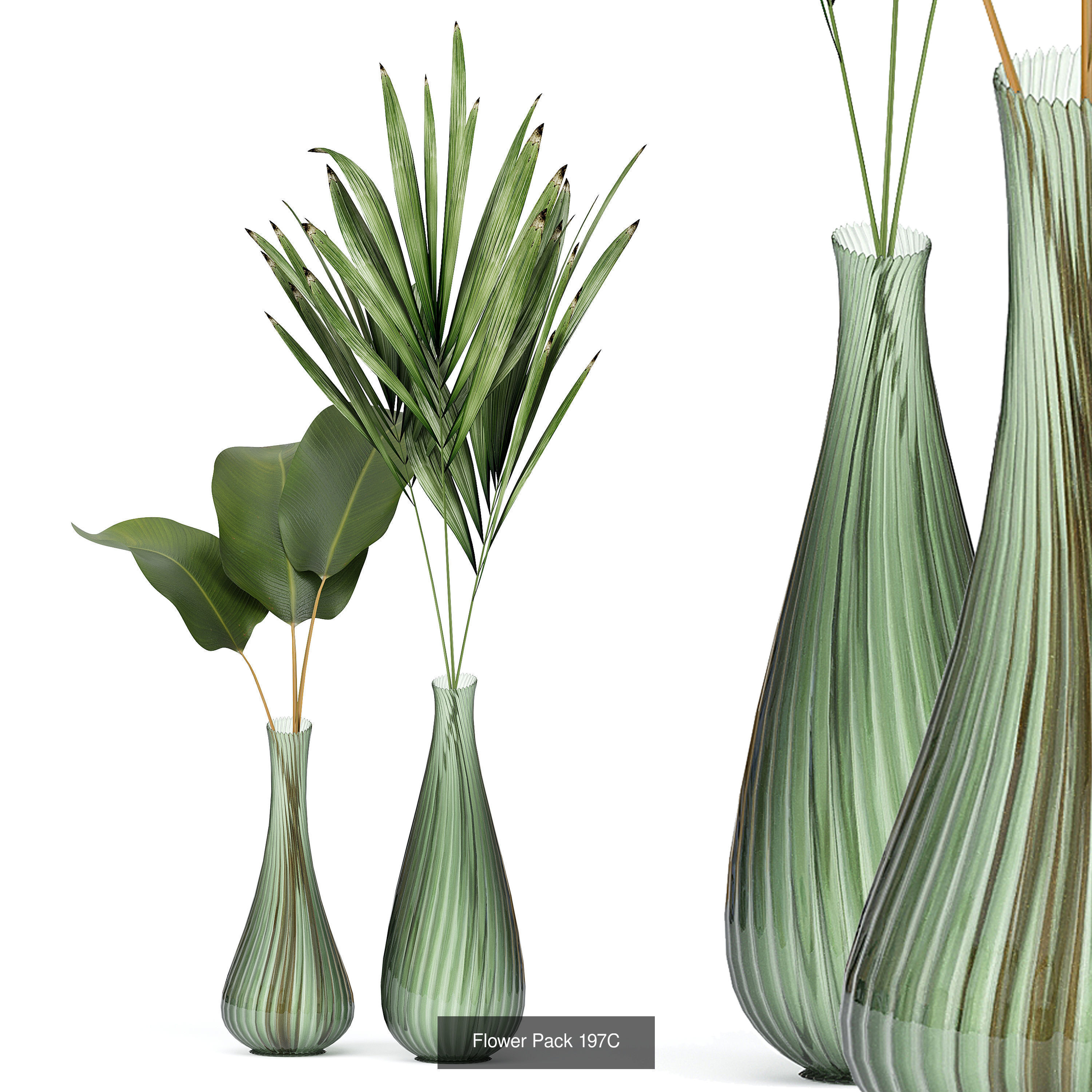 Flowers in vases 3D Model Collection_2
