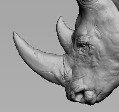 Rhino Head Sculpture 3D print model_9
