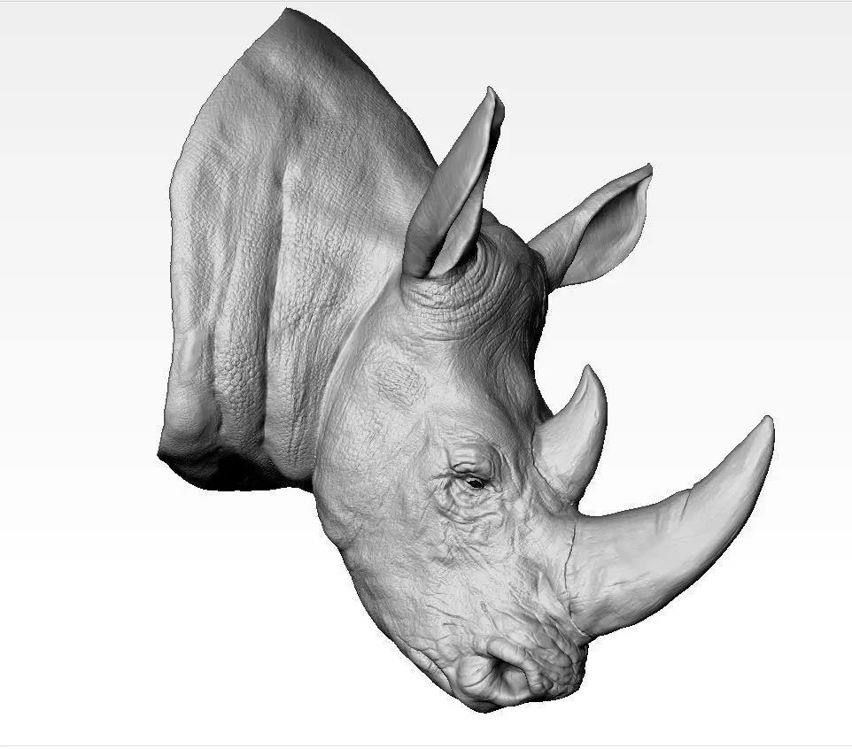 Rhino Head Sculpture 3D print model_0