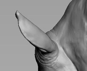 Rhino Head Sculpture 3D print model_12