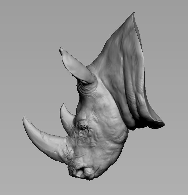 Rhino Head Sculpture 3D print model_1