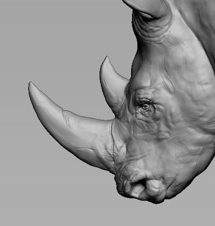 Rhino Head Sculpture 3D print model_15