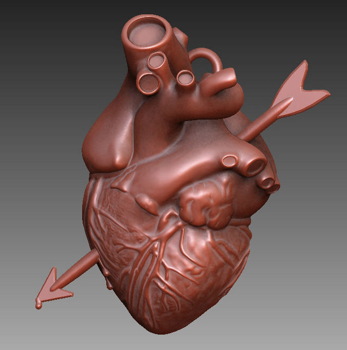 Arrowed Heart 3D print model_8