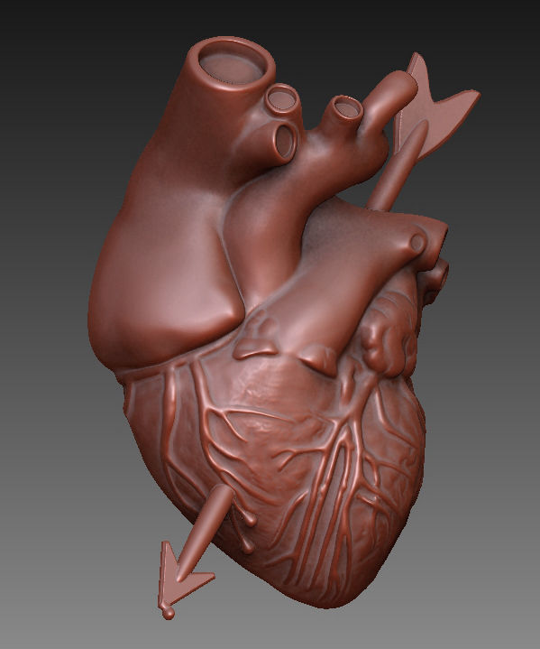 Arrowed Heart 3D print model_11