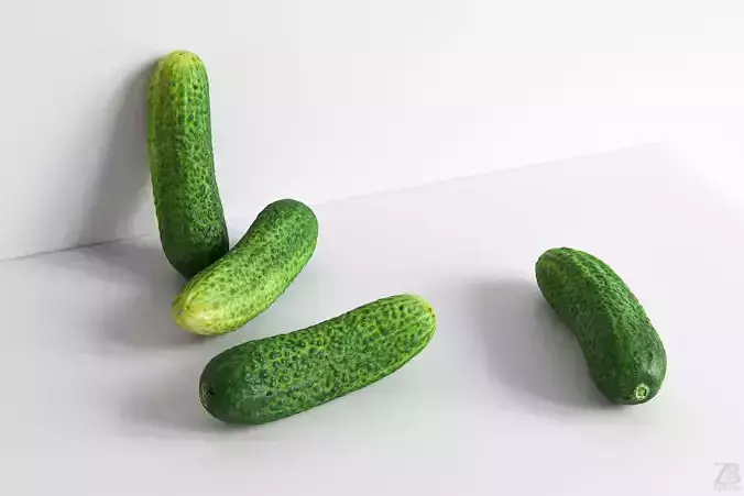 Cucumber 3D model