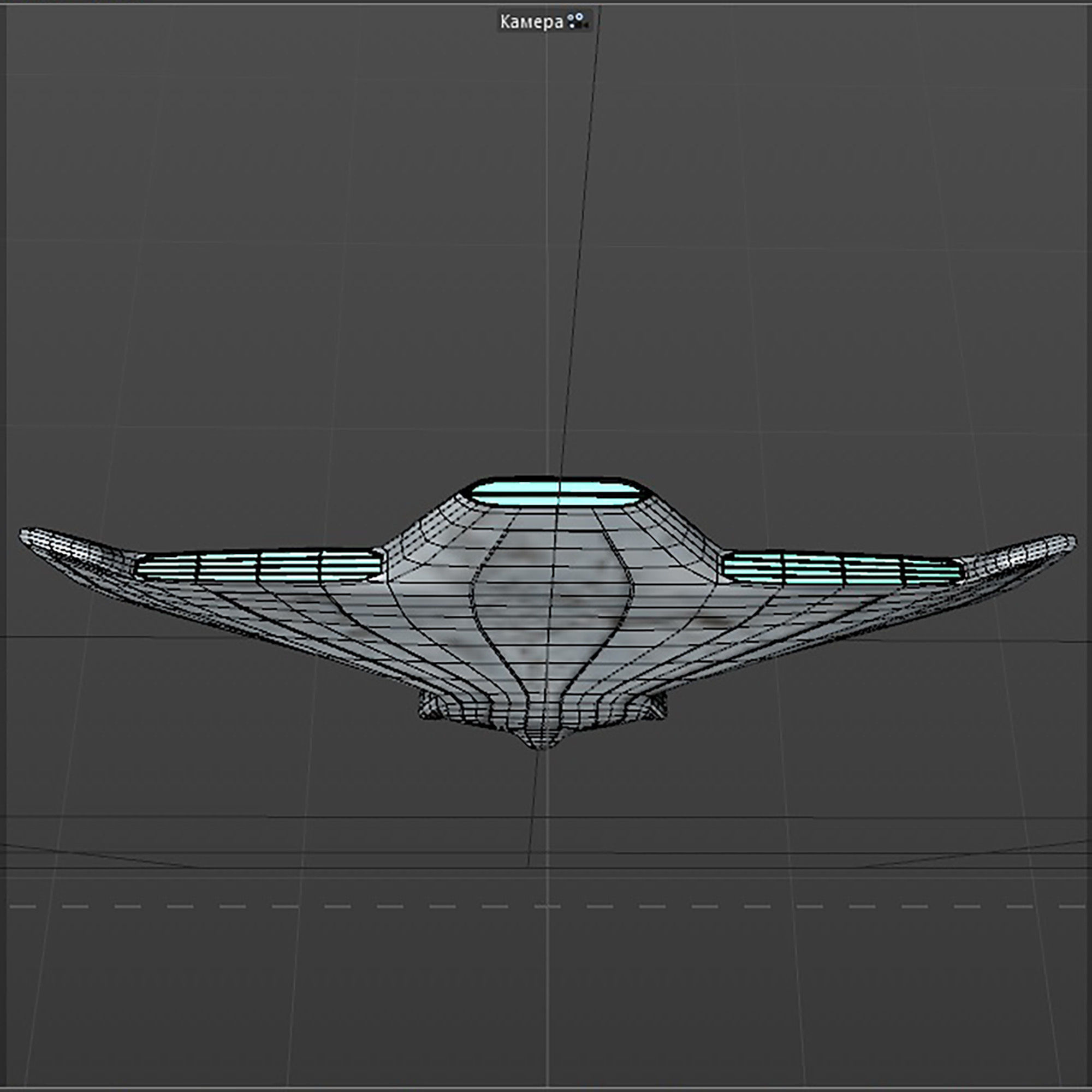 space mosquito A 2 Low-poly 3D model_13